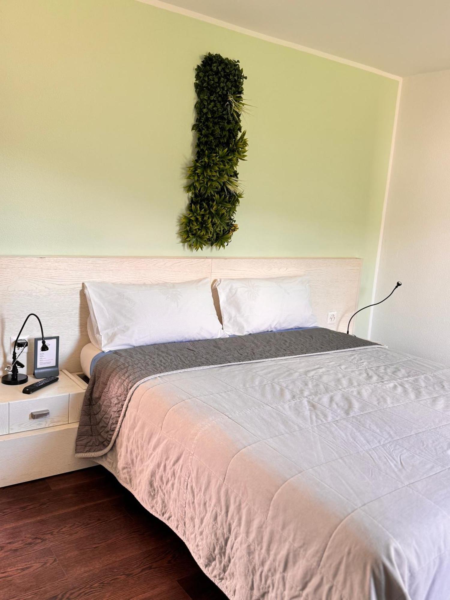 Gambarogno Viva Bacco B&B 외부 사진