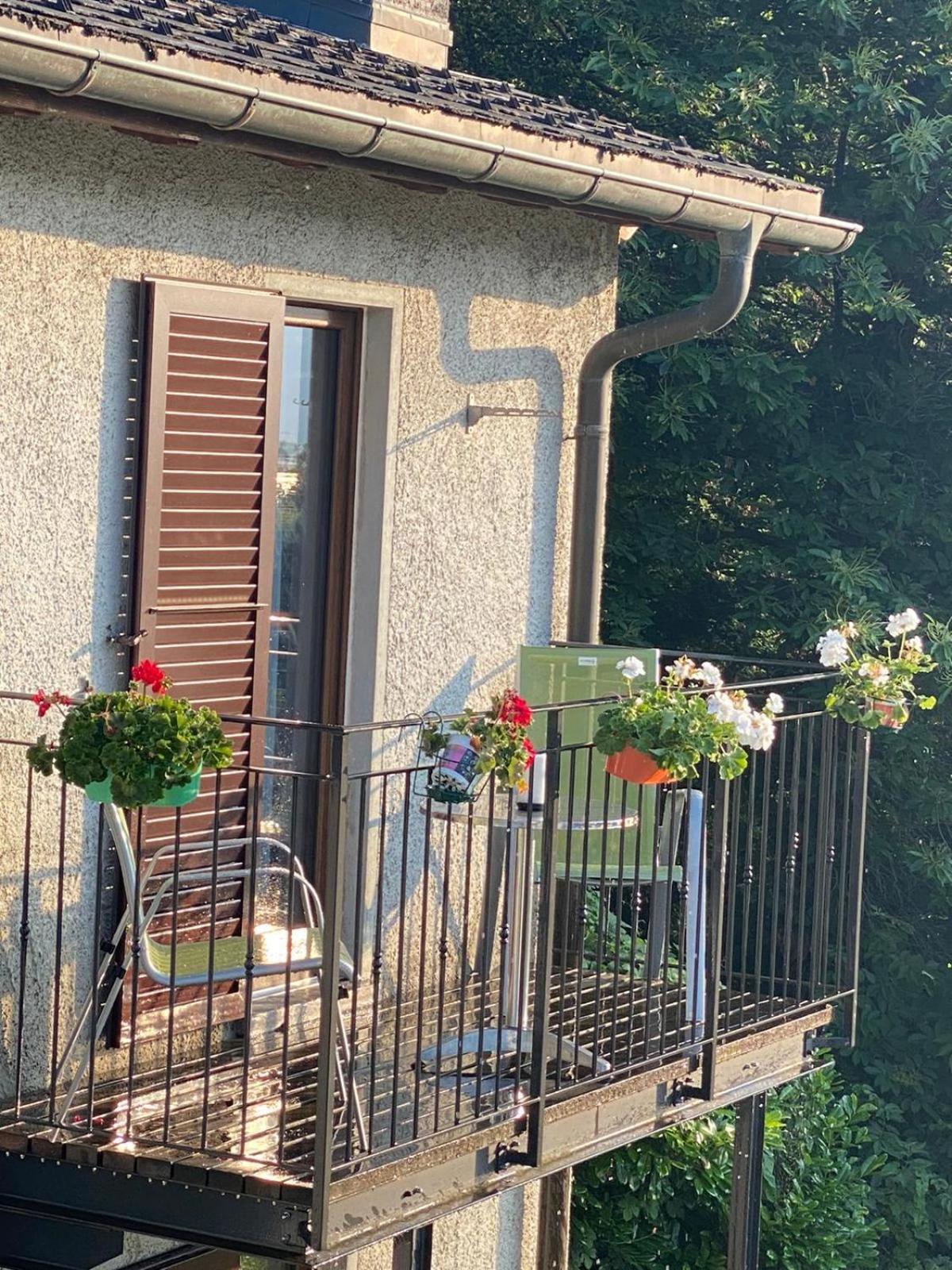 Gambarogno Viva Bacco B&B 외부 사진