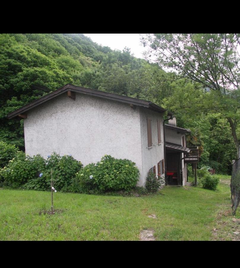 Gambarogno Viva Bacco B&B 외부 사진